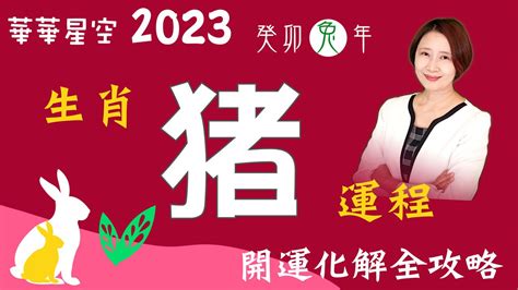 屬豬 2023|2023 肖豬流年運程 